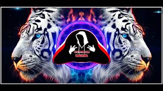 DJ VIKAS SONG Magenta riddim songs full bass buster [upl. by Anayi]