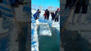 നദിയിലെ ഐസ് വെട്ടുന്നത് കണ്ടോ ice harvesting in china malayalam shorts [upl. by Yung54]