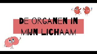 De organen in mijn lichaam [upl. by Dulcine78]