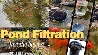 Backyard pond filtration The basics [upl. by O'Malley857]