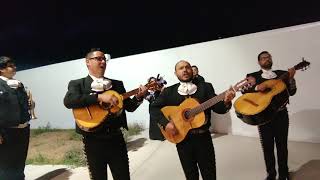 Las mañanitas Mariachi Elegancia Monterrey [upl. by Winthorpe]