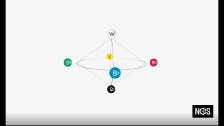 NCS – Natural Colour System® [upl. by Enneibaf563]