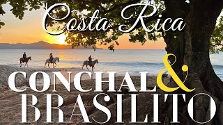 Exploring Brasilito Beach towns of Costa Rica [upl. by Alsworth]