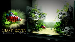 Giant Koi Betta in Two Waterfalls In Aquaterrarium Stepbystep l no Filterno Co2 l Paludarium [upl. by Barimah165]