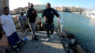 Kob Fishing in False Bay [upl. by Tsirhc725]