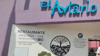 Restaurante el Aviario Texcoco [upl. by Aihtenyc]