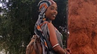 New BORANA OROMO Music2019 by GORDO DALACHAFaaruu Loonii [upl. by Aiynat]