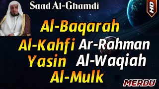 Surat Al Baqarah Al Kahfi Yasin Ar Rahman Al Waqiah Al Mulk By Saad AlGhamdi [upl. by Mei711]