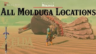 All Molduga Locations  The Legend of Zelda  Breath of the Wild [upl. by Noami]