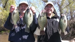 How to Fish for Huge Slab Crappies using Live Bait Minnows [upl. by Ahsakat]