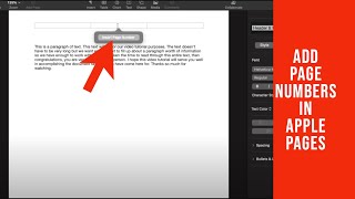 How to Add Page Numbers to Apple Pages [upl. by Cilurzo642]