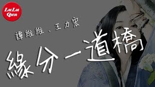 抖音《緣分一道橋》譚維維、王力宏【動態歌詞Lyrics】 [upl. by Hogen]