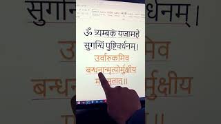 महामृत्युंजय मंत्र  Maha Mrityunjaya Mantra  Shiv mantra shorts ॐ [upl. by Natloz]