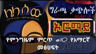 Top ten amharic books  የምንግዜም ምርጥ 10 የአማርኛ መፅሀፍት [upl. by Eissirk]