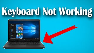 How To Fix HP Laptop Keyboard Not Working in Windows 10 Solved [upl. by Anirdnaxela475]