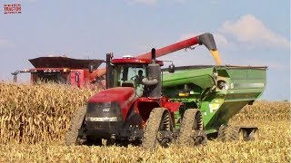 Case IH 470 Rowtrac Tractor on Corn Harvest Grain Cart Duty [upl. by Ahsratal476]