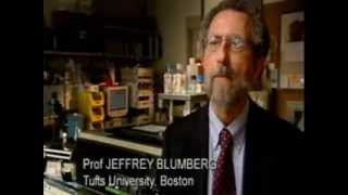 The Truth About Vitamins BBC FULL DOCUMENTARY [upl. by Eilyab]