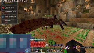 Minecraft RLcraft  gaining a myrmex colonys trust [upl. by Kalam]