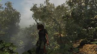 Shadow of the Tomb Raider  GeForce GTX 1060 6GB 1080p 60 FPS [upl. by Anovahs]