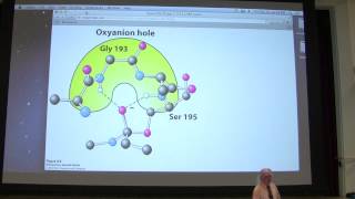 12 Kevin Aherns Biochemistry  Enzyme Mechanisms [upl. by Marchal]