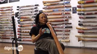 What is a Didgeridoo  Learning the Didgeridoo [upl. by Juster]