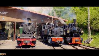 Chemin de fermusée BlonayChamby  Mega Steam Festival [upl. by Ahsikam]