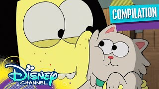 Every Animal Tilly Fell In Love With 😍  Compilation  Big City Greens  Disney Channel [upl. by Nicolea]