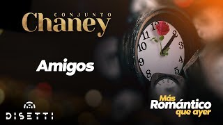 Conjunto Chaney  Amigos  Salsa con Letra Romántica [upl. by Nocaed]