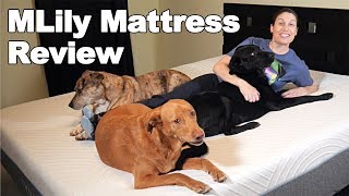 MLILY Fusion Luxe Mattress Review  Ask Doctor Jo [upl. by Llecram]