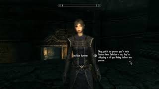 Skyrim Thalmor Follower Mod  Thalmor Justiciar Ayrenn shares her opinion on the Blades [upl. by Mikah]