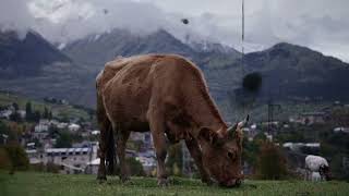 Top Travel Expert Reveals the REAL Vaduz Liechtenstein [upl. by Tolmach69]