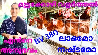 BV380ഇതാണ് യഥാർത്ഥ വസ്തുത [upl. by Dhiren]