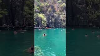 Kayangan Lake Coron Palawan Philippines 🇵🇭 kayanganlake coron palawan shorts travel ph [upl. by Race]