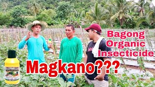 Nimbecidine ang Bagong Organic Insecticide [upl. by Ydne]