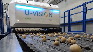 UVision optical sorting machine for potatoes [upl. by Anihc]