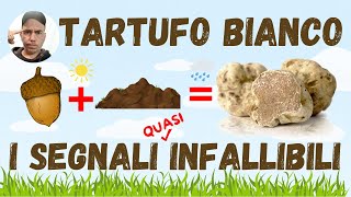 Come trovare il TARTUFO BIANCO I segnali del territorio [upl. by Patsis]