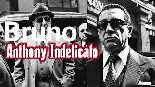 The Notorious Life of Anthony Indelicato Reign of Terror [upl. by Nac916]