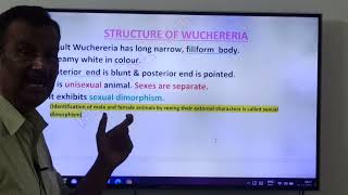 267Wuchereria bancrofti Life cycleLQJRsUnit ViBiology in Human welfare [upl. by Megargee]