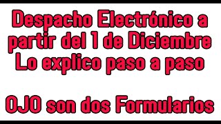 A partir 11224 se exigirá el Despacho electronico en PNA OJO son dos Formularios El detalle [upl. by Shien]