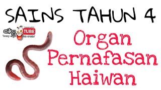 SAINS TAHUN 4 Organ Pernafasan Haiwan Unit 3 [upl. by Ajay]