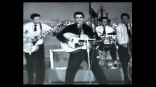 Elvis Presley Heatrbreak Hotel Live 1956 [upl. by Yroger]