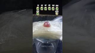 Bolinha a 1000° Graus Celsius VS 100 Camadas de Fita Adesiva100camadas fita asmr satisfatorio [upl. by Zolly]