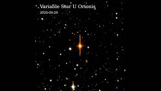 The variable star U Orionis as seen with ZTF [upl. by Bouley959]