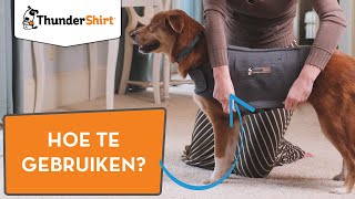 ThunderShirt voor honden  Hoe trek je het vest aan [upl. by Lamar377]