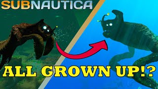 Finding the Juvenile Sea Emperors Subnautica [upl. by Euqimod407]