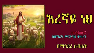 Mirtnesh Tilahun New mezmur Eregnaye neh may 28 2015 [upl. by Beauchamp]