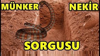 MÜNKER VE NEKİR SORGULAMASI  KABİR AZABI  kısa kıssa [upl. by Lizette525]