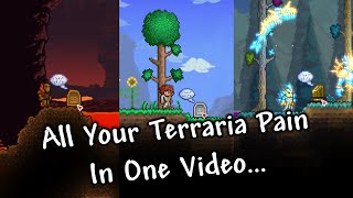 All Your Terraria Pain in One Video SUPERCUT [upl. by Nalyorf]