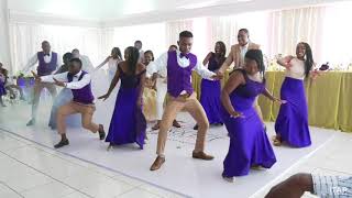 Zimbabwean bride and groom epic wedding dance [upl. by Ahsitneuq617]