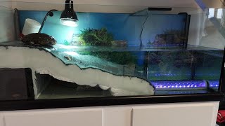 Aquarium pour tortue  Partie 2 LAquaterrarium [upl. by Eelyma]